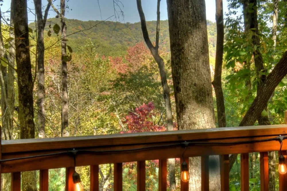 9 Joanna Court Cherry Log, GA 30513