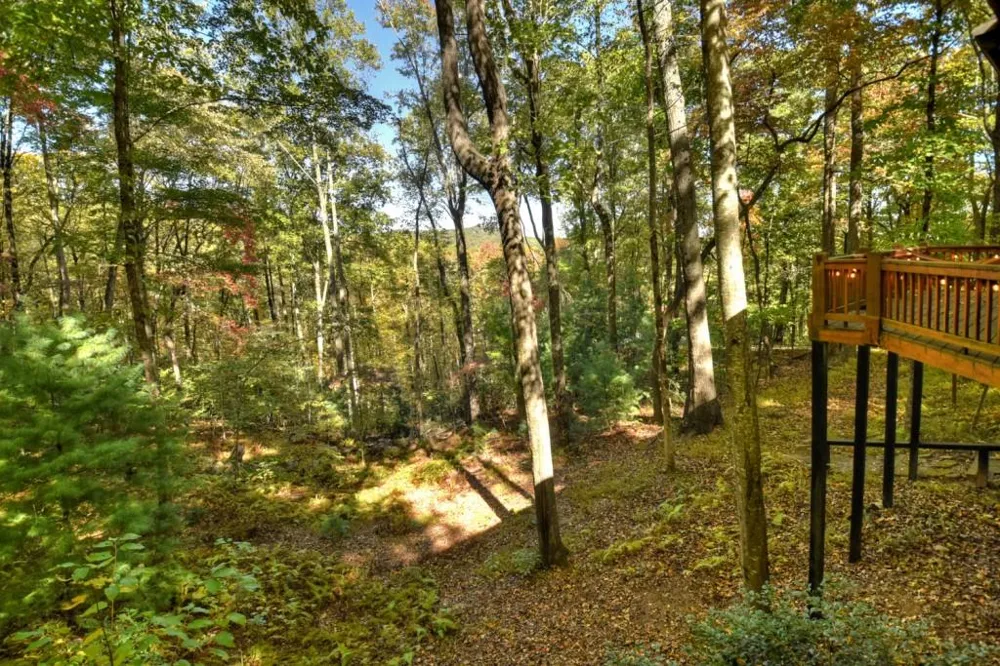 9 Joanna Court Cherry Log, GA 30513