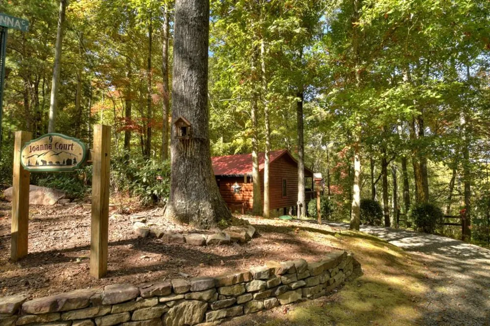 9 Joanna Court Cherry Log, GA 30513