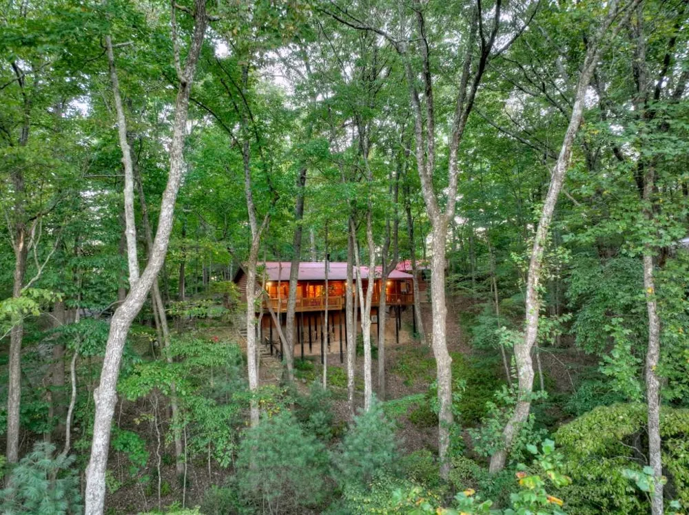 9 Joanna Court Cherry Log, GA 30513
