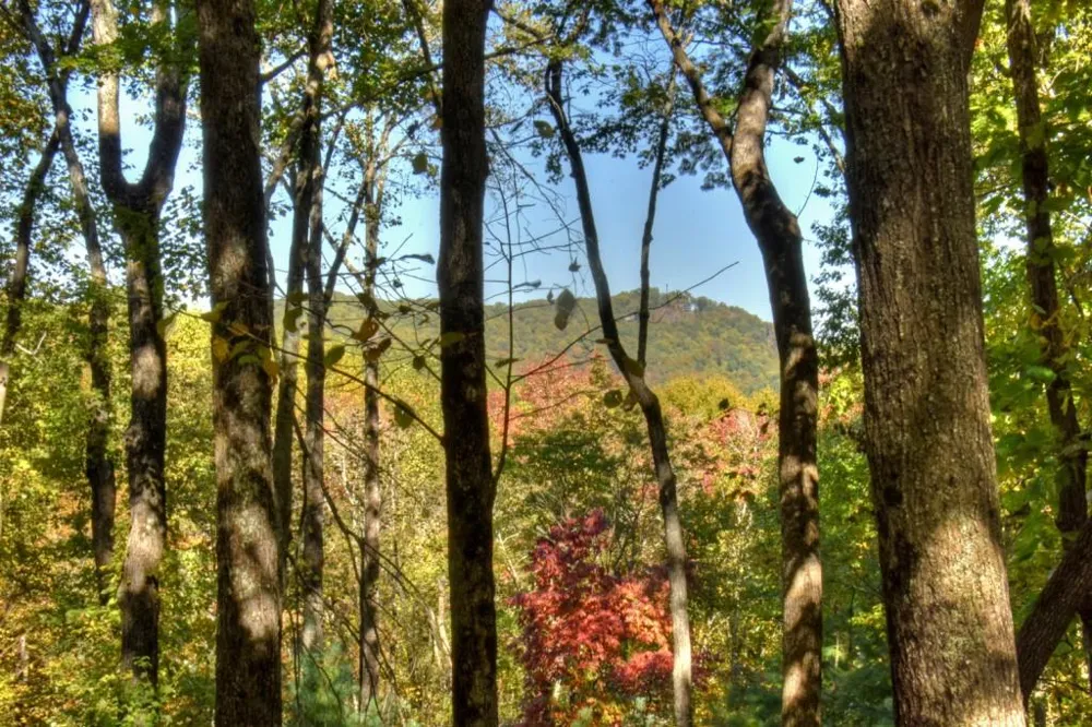 9 Joanna Court Cherry Log, GA 30513