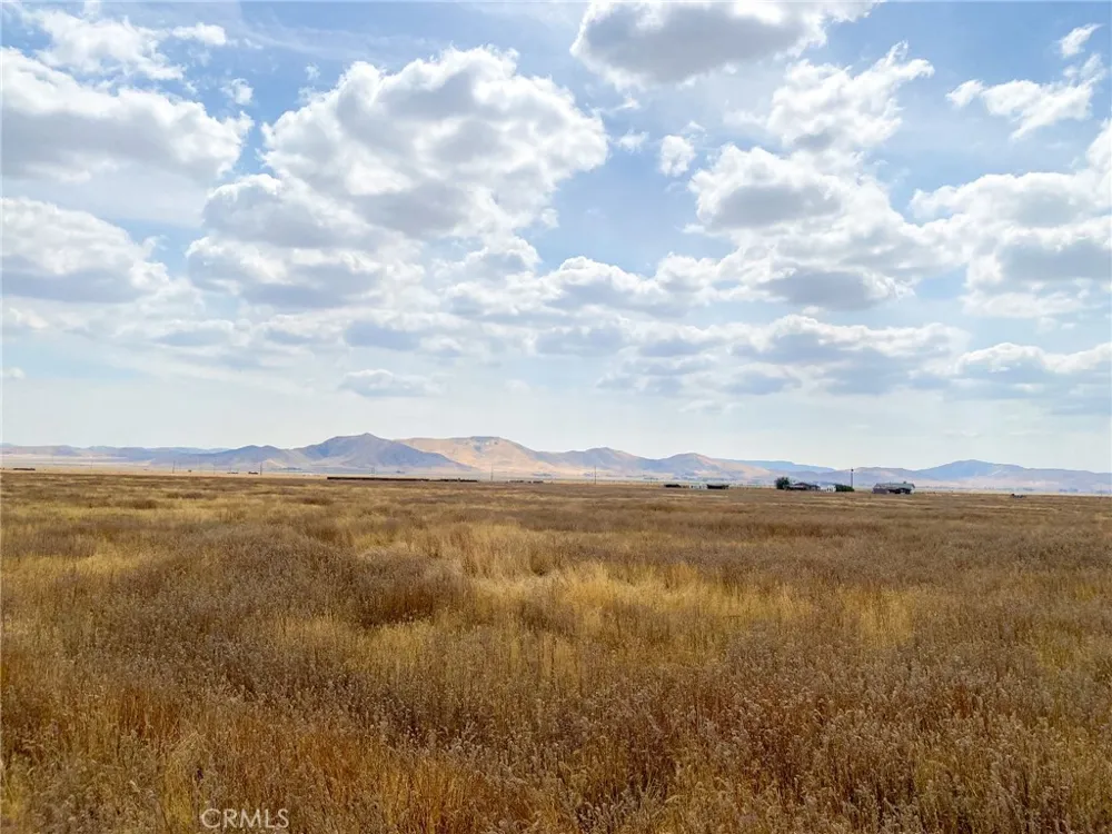 Burney Road Santa Margarita, CA 93453