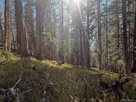LOT 6530 Schluetter Road