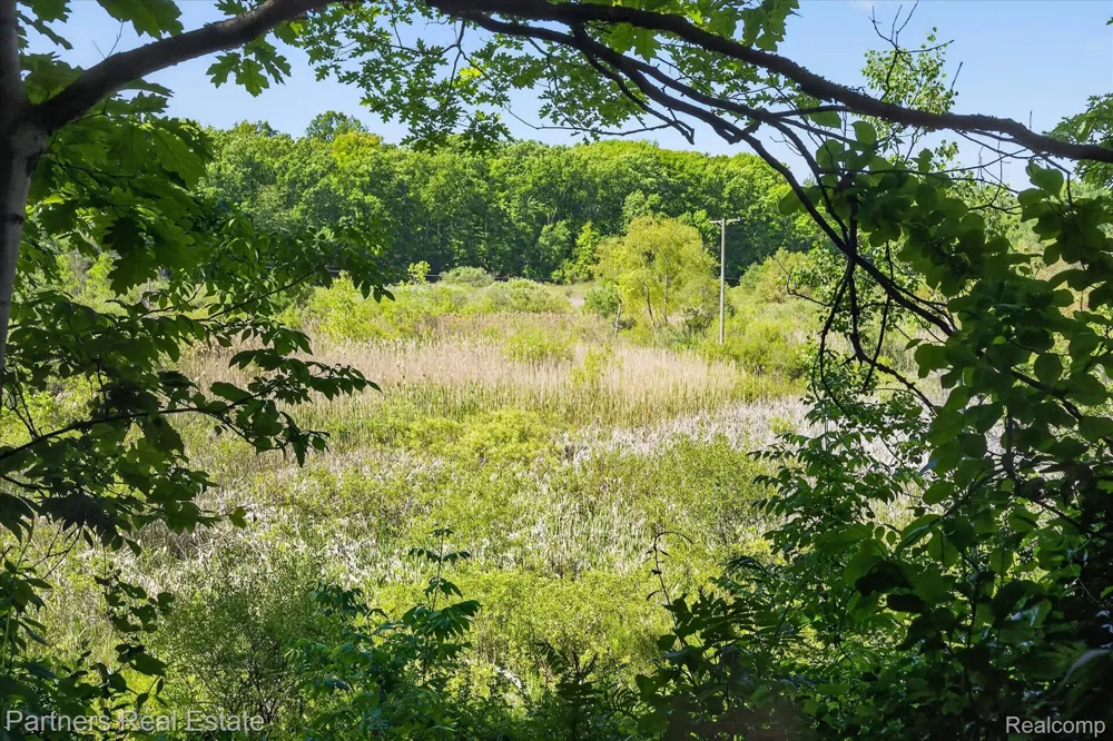 4053 Rolling Acres Drive Hartland Township, MI 48353