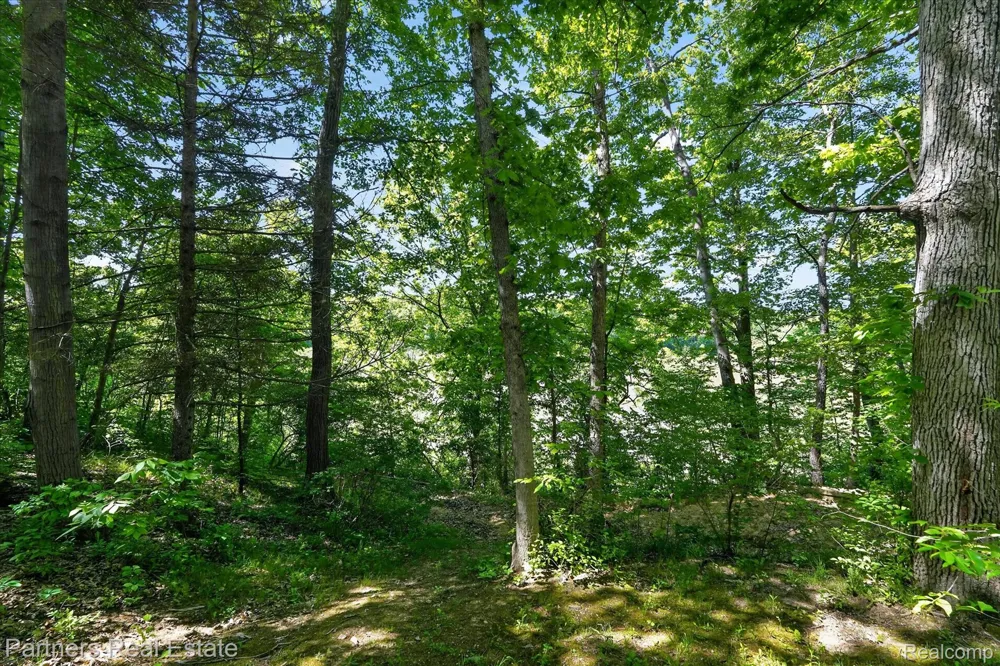 4053 Rolling Acres Drive Hartland Township, MI 48353