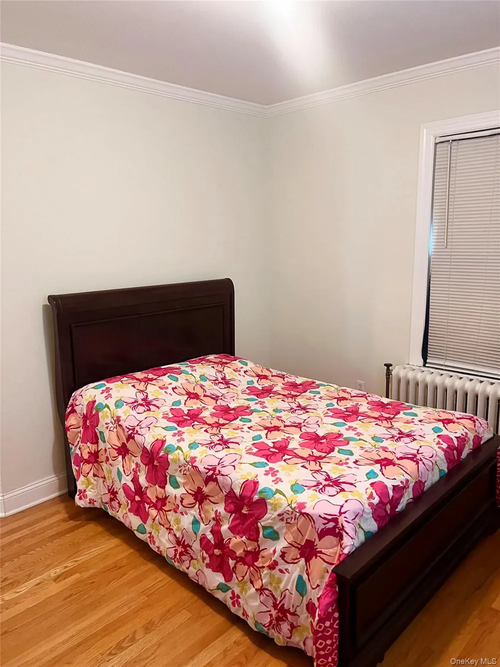 69 Treno Street New Rochelle, NY 10801