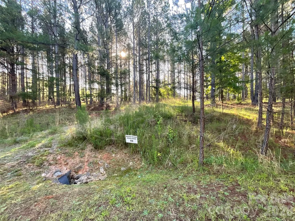 105 Whispering Pines Lane Mooresboro, NC 28114