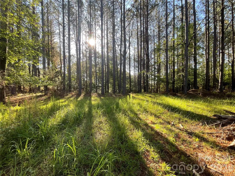 105 Whispering Pines Lane Mooresboro, NC 28114