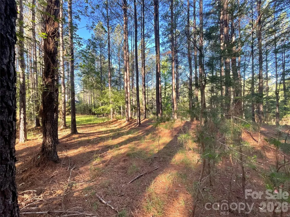 105 Whispering Pines Lane Mooresboro, NC 28114