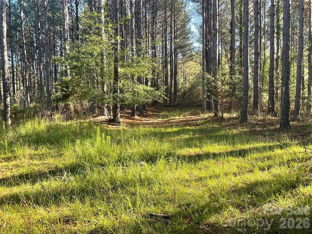 105 Whispering Pines Lane Mooresboro, NC 28114