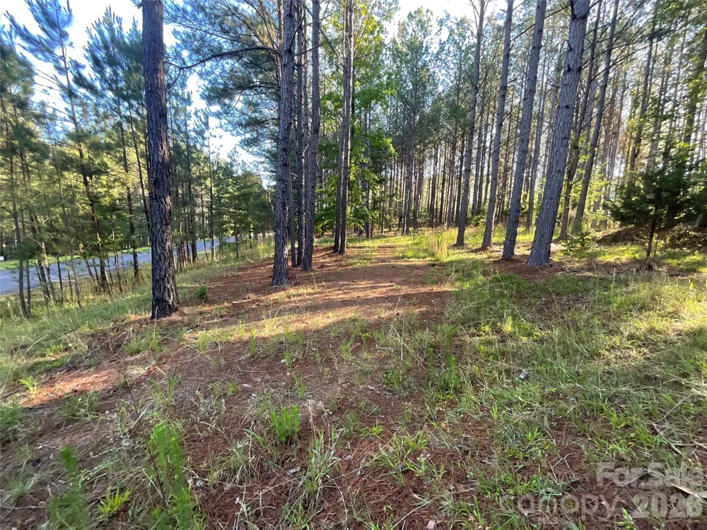 105 Whispering Pines Lane Mooresboro, NC 28114