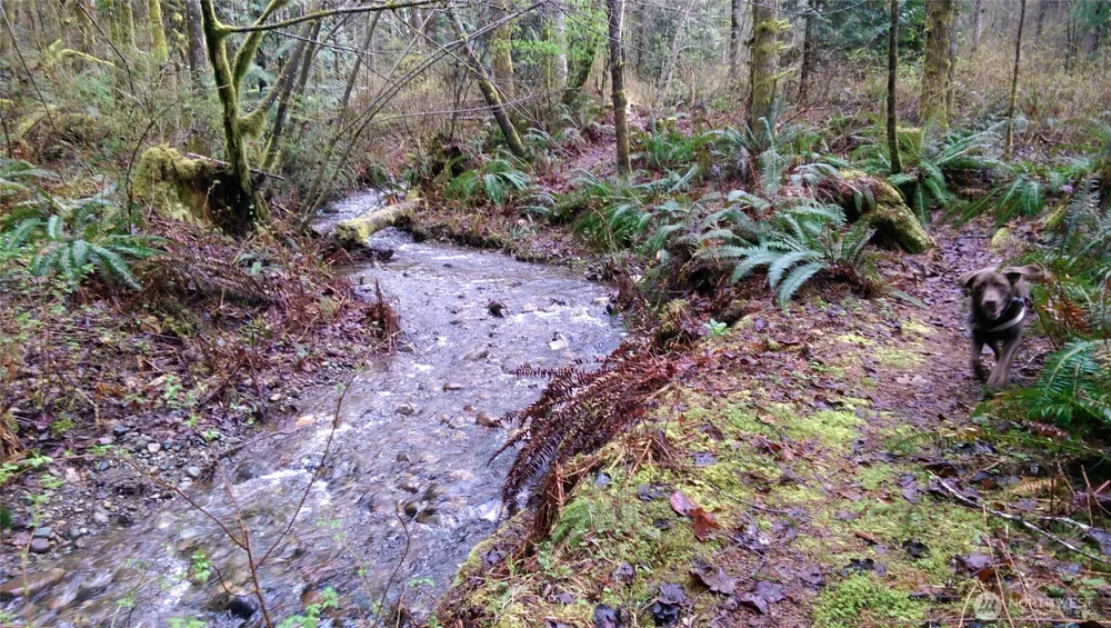 10128 298th Avenue SE Monroe, WA 98272