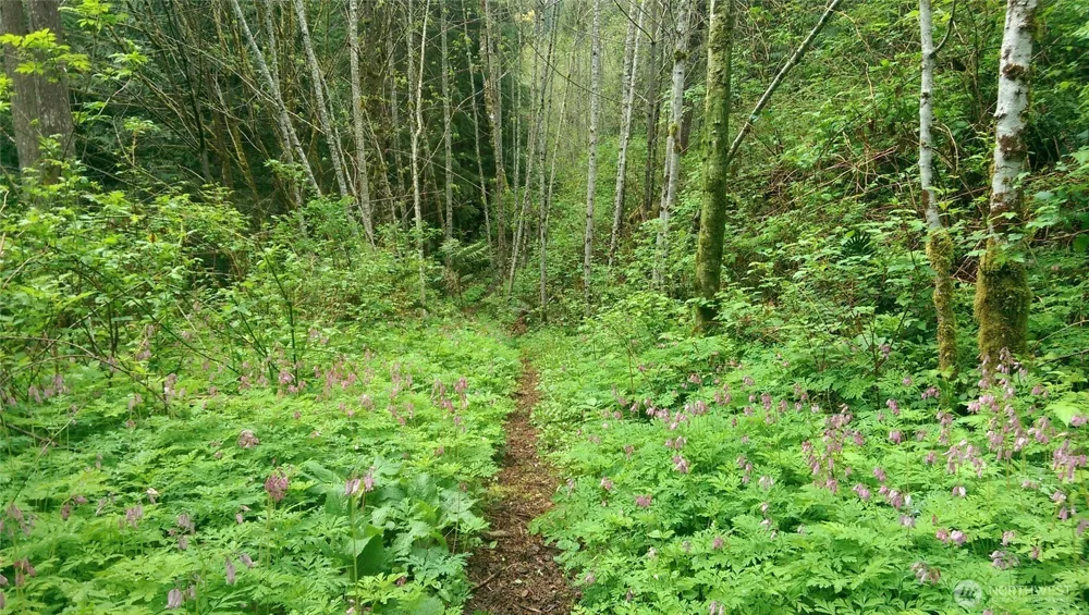 10128 298th Avenue SE Monroe, WA 98272