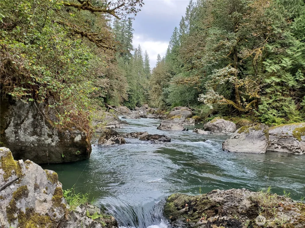 10128 298th Avenue SE Monroe, WA 98272