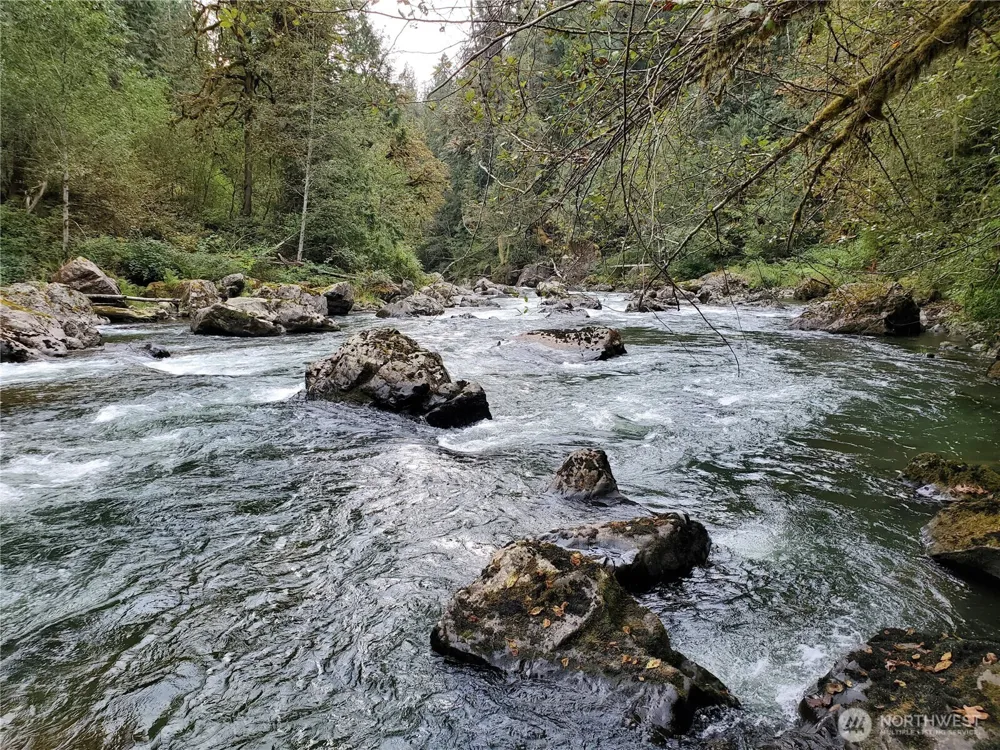 10128 298th Avenue SE Monroe, WA 98272