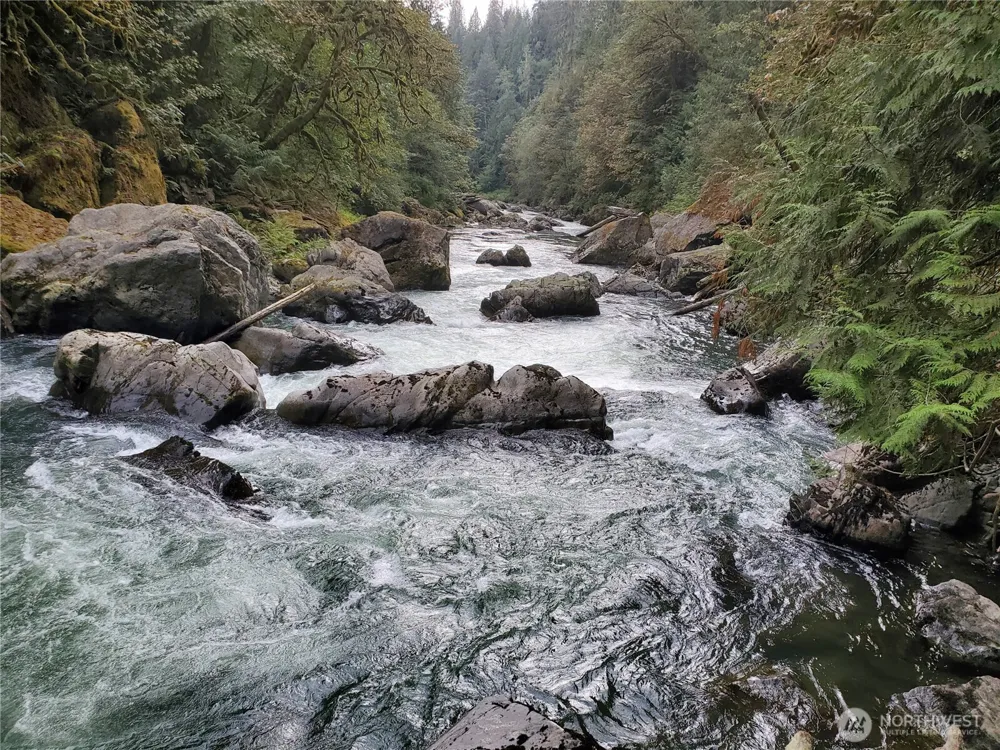 10128 298th Avenue SE Monroe, WA 98272