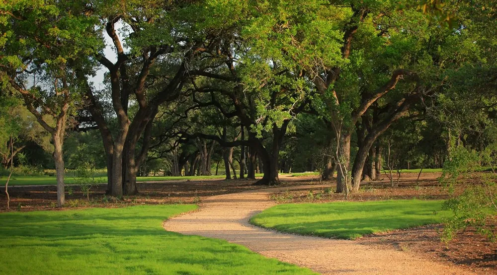 501 Texas Sky Drive Georgetown, TX 78628