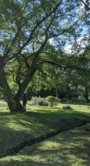501 Texas Sky Drive Georgetown, TX 78628