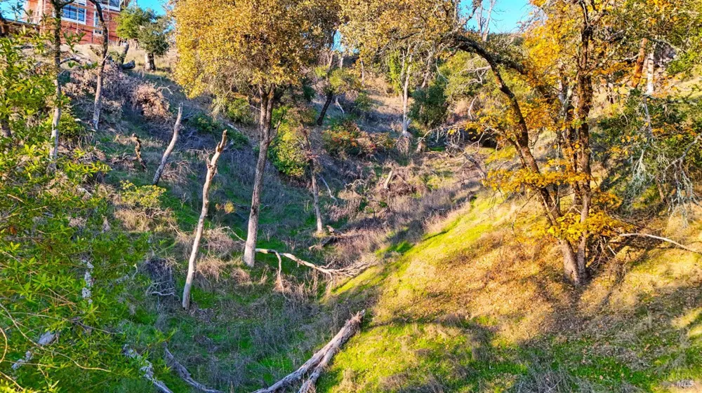 13370 Saddle Road Glen Ellen, CA 95442