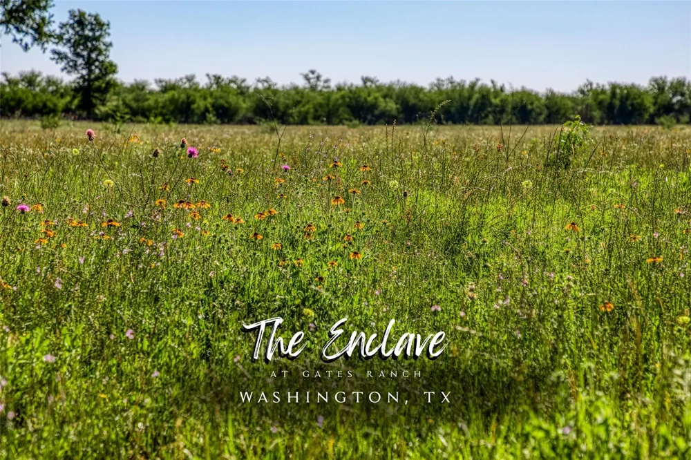 Flat Prairie Road Washington, TX 77880