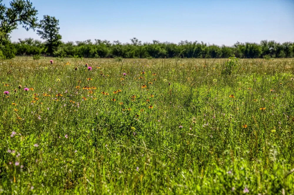 Flat Prairie Road Washington, TX 77880