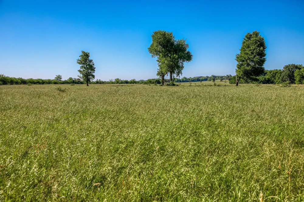 Flat Prairie Road Washington, TX 77880