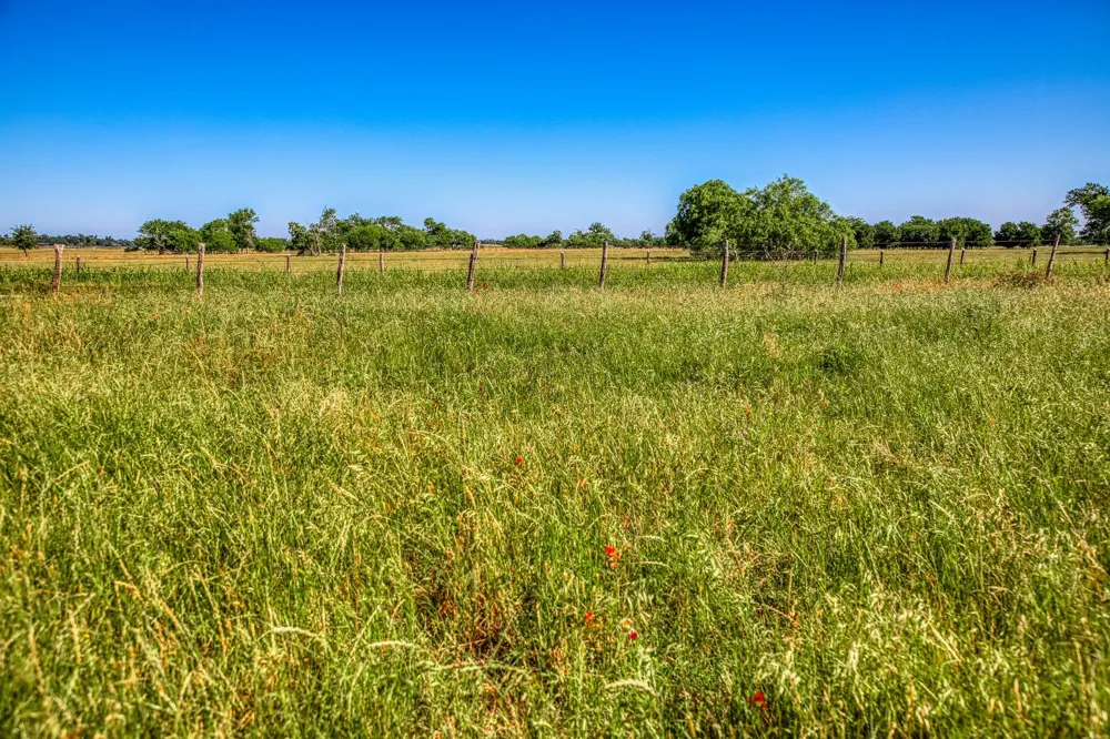 Flat Prairie Road Washington, TX 77880