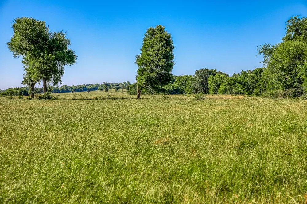 Flat Prairie Road Washington, TX 77880