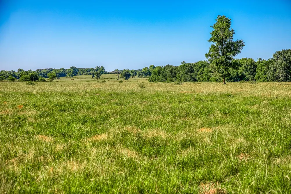 Flat Prairie Road Washington, TX 77880
