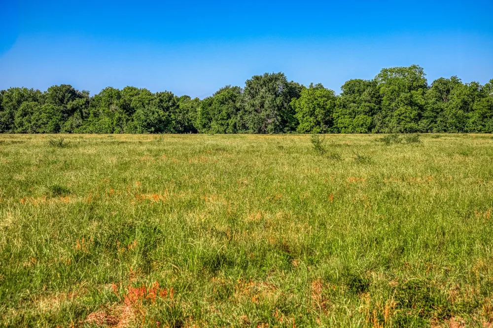Flat Prairie Road Washington, TX 77880