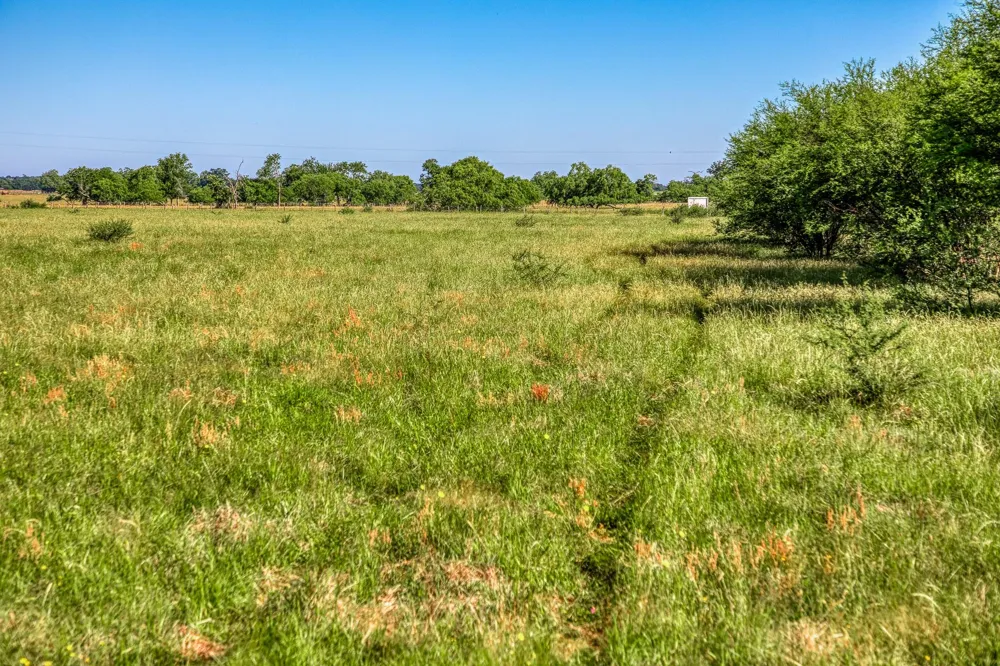 Flat Prairie Road Washington, TX 77880