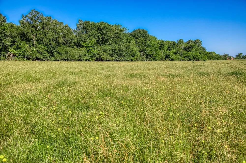 Flat Prairie Road Washington, TX 77880