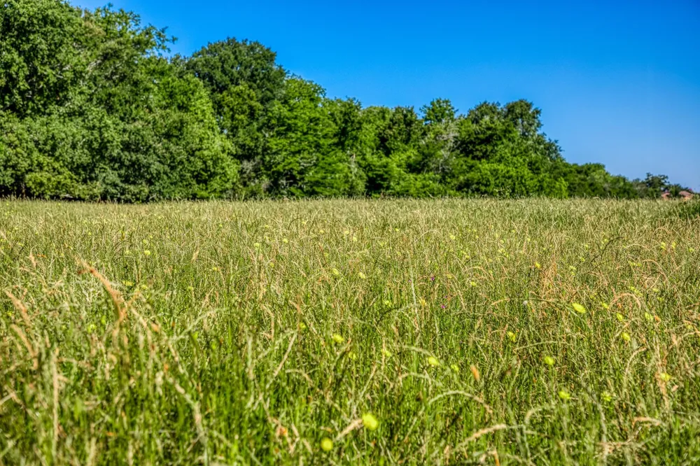 Flat Prairie Road Washington, TX 77880
