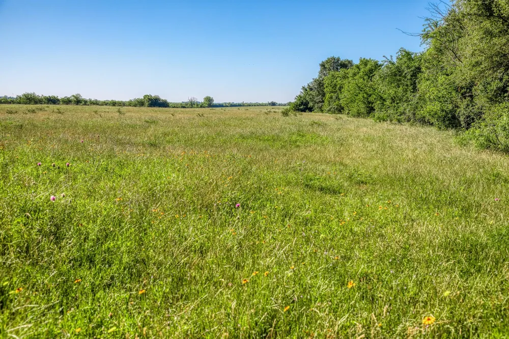 Flat Prairie Road Washington, TX 77880