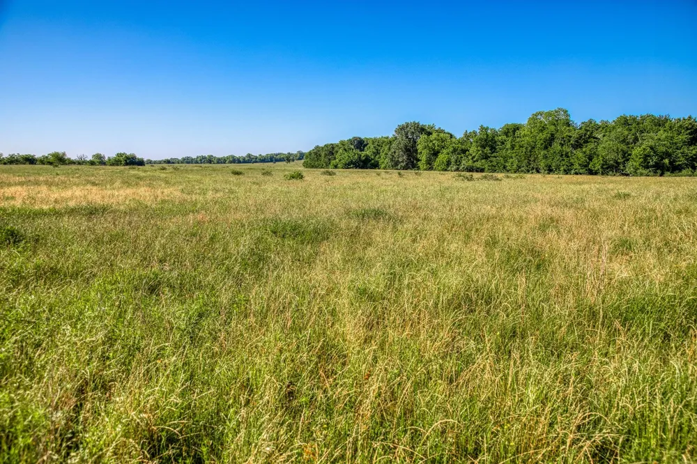 Flat Prairie Road Washington, TX 77880
