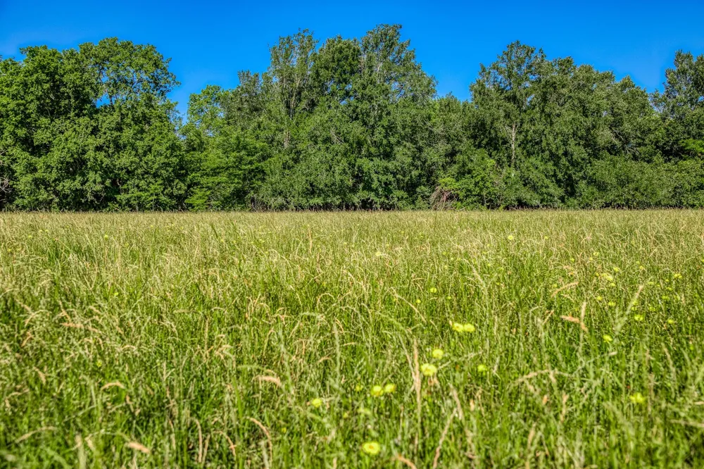 Flat Prairie Road Washington, TX 77880
