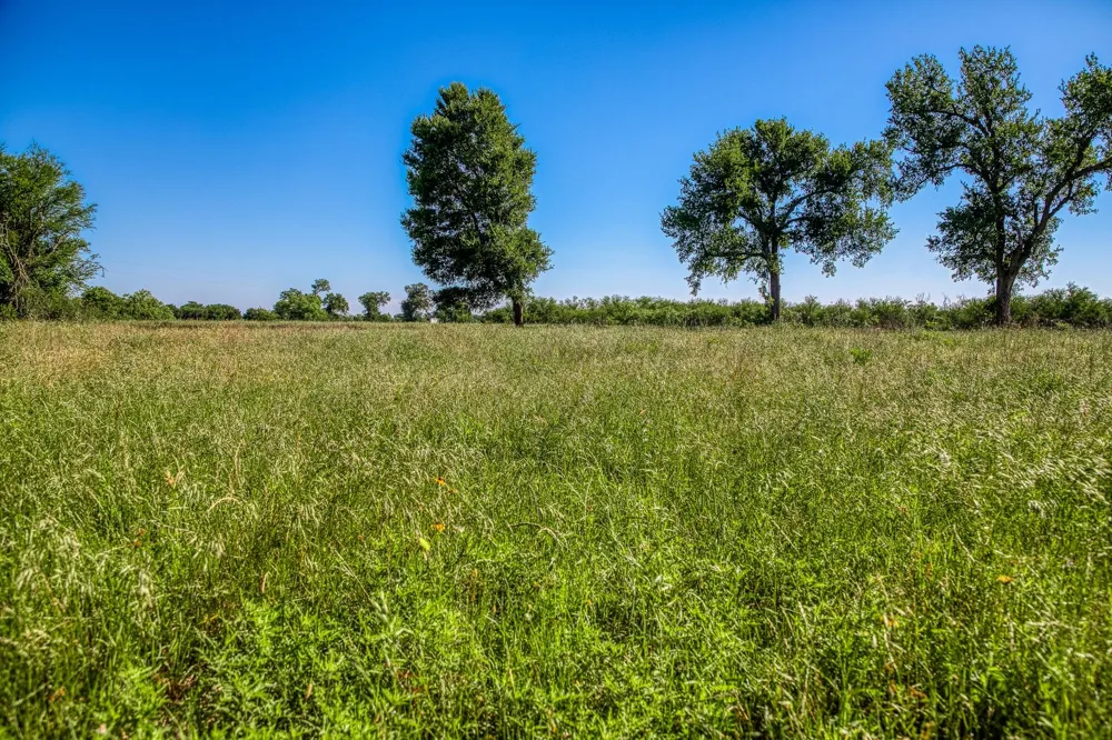 Flat Prairie Road Washington, TX 77880