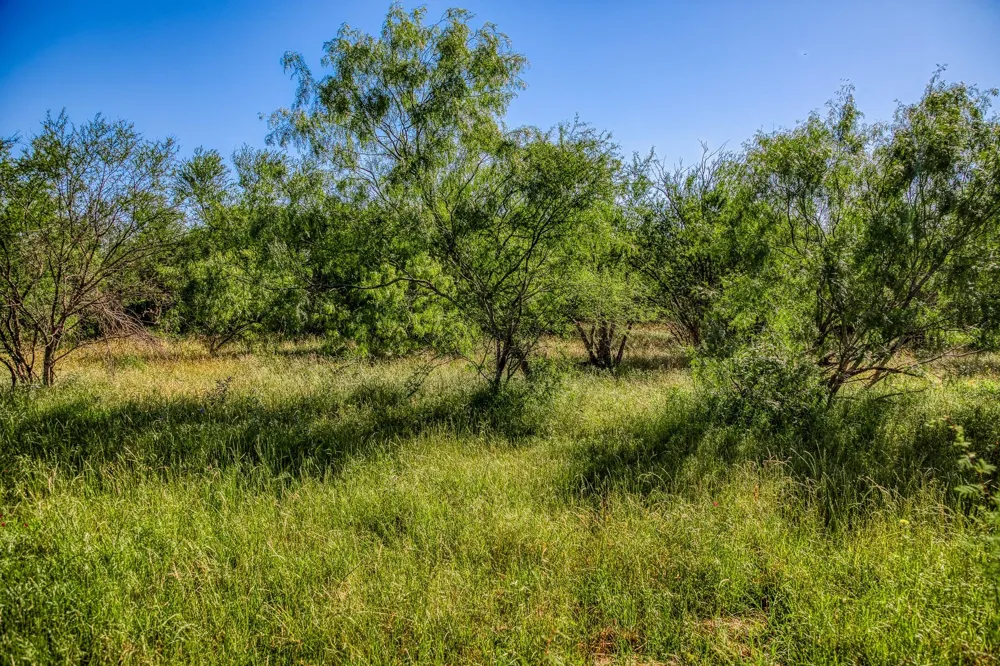 Flat Prairie Road Washington, TX 77880