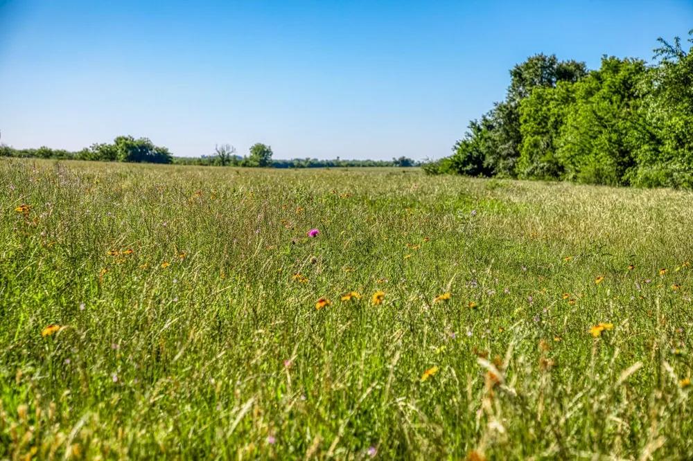 Flat Prairie Road Washington, TX 77880