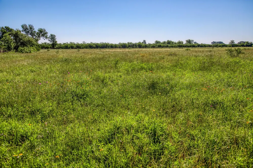 Flat Prairie Road Washington, TX 77880