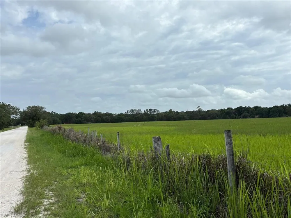 18139 BENES ROUSH ROAD Brooksville, MS 39604