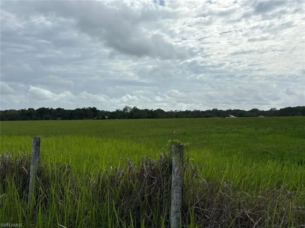 18139 BENES ROUSH ROAD Brooksville, MS 39604
