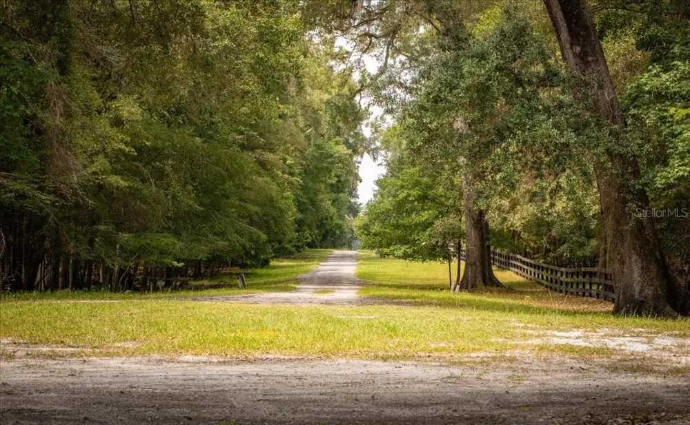 TBD SW BLUEBIRD COURT Fort White, FL 32038