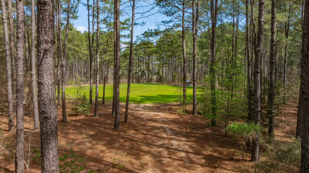 3400 CR 1240 Linden, TX 75563