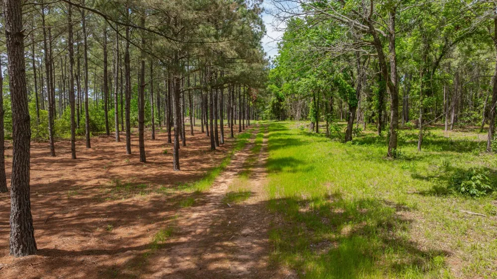 3400 CR 1240 Linden, TX 75563