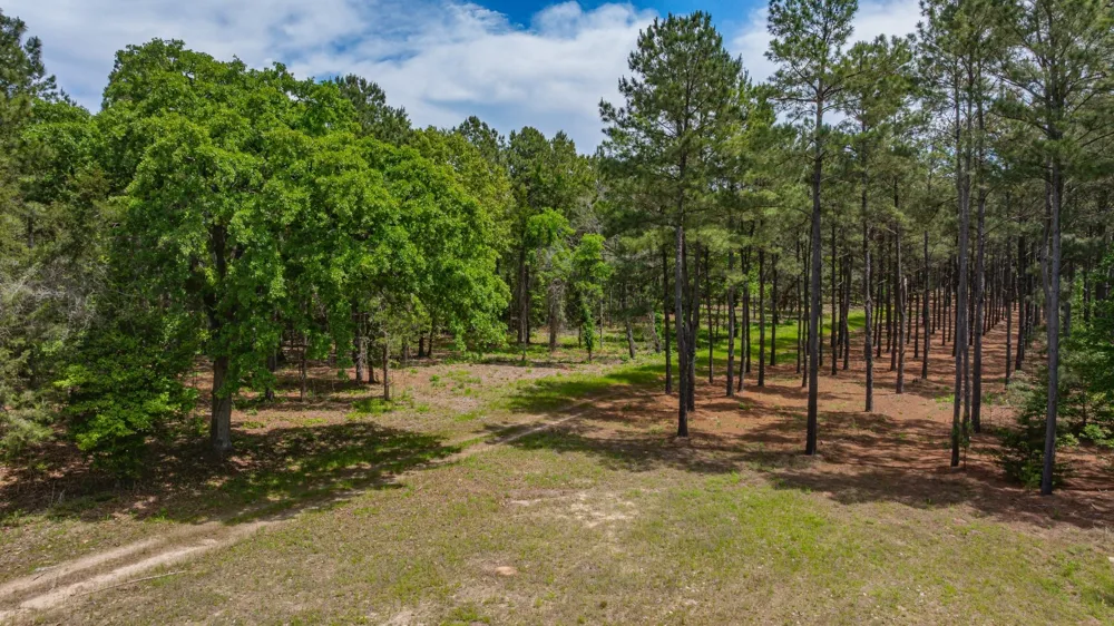 3400 CR 1240 Linden, TX 75563