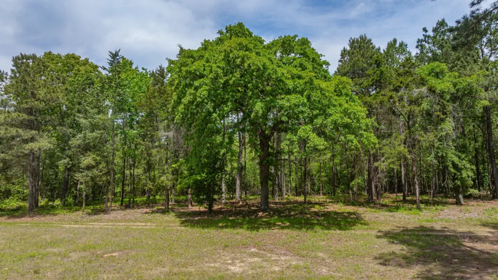 3400 CR 1240 Linden, TX 75563