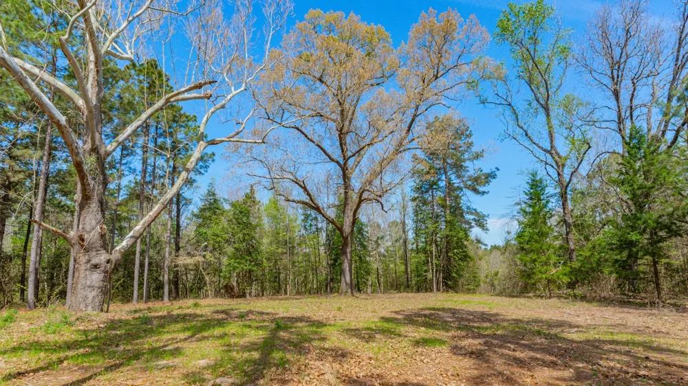 3400 CR 1240 Linden, TX 75563