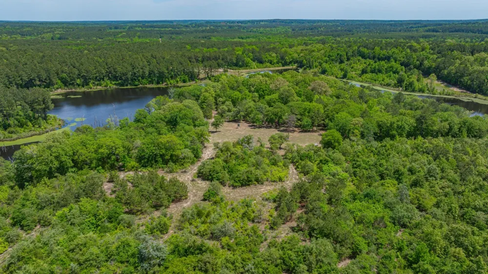 3400 CR 1240 Linden, TX 75563