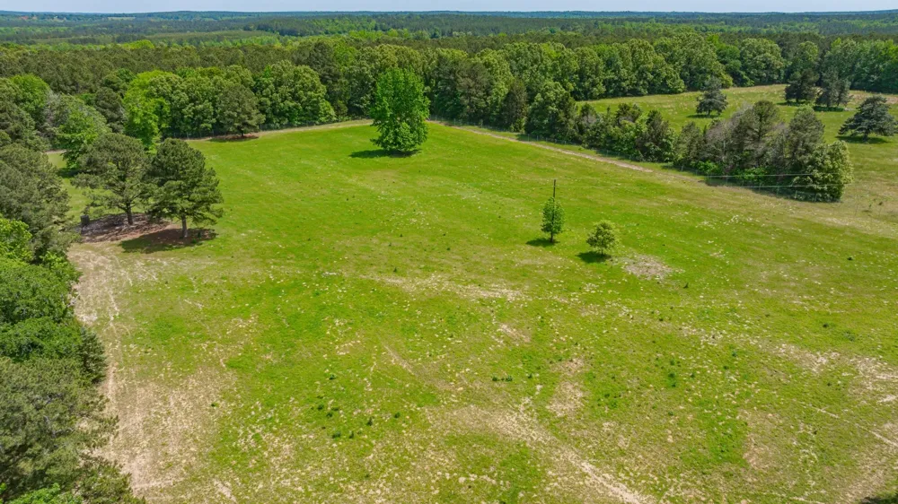 3400 CR 1240 Linden, TX 75563